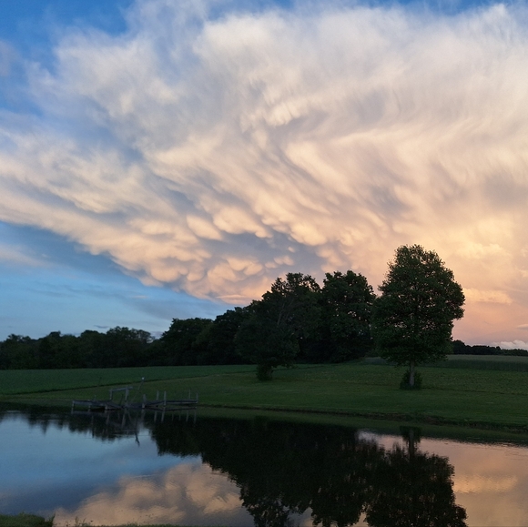 Meet Your Posher ❤️🧡💛💚💙🩵💜🖤🤎🩵🩷🤍 - Picture 14 of 16